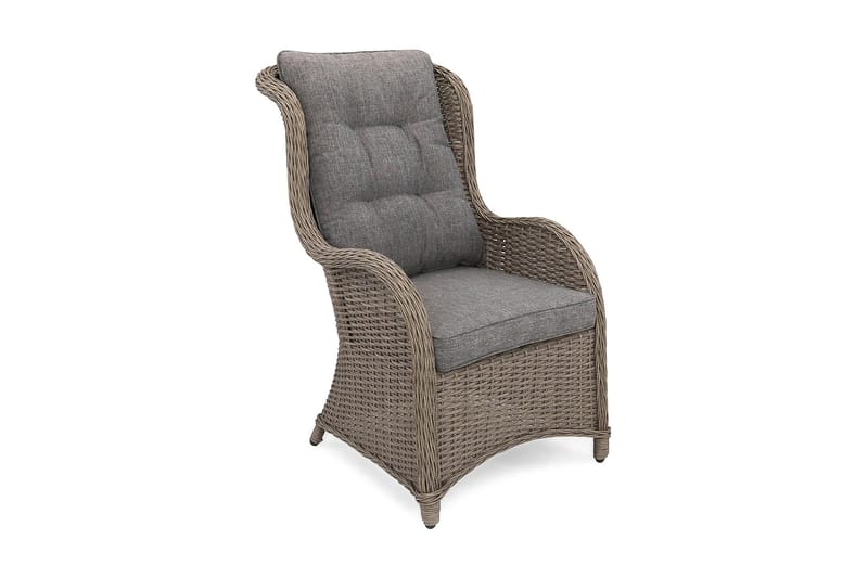 Marcus Ørelapslænesol, Grå