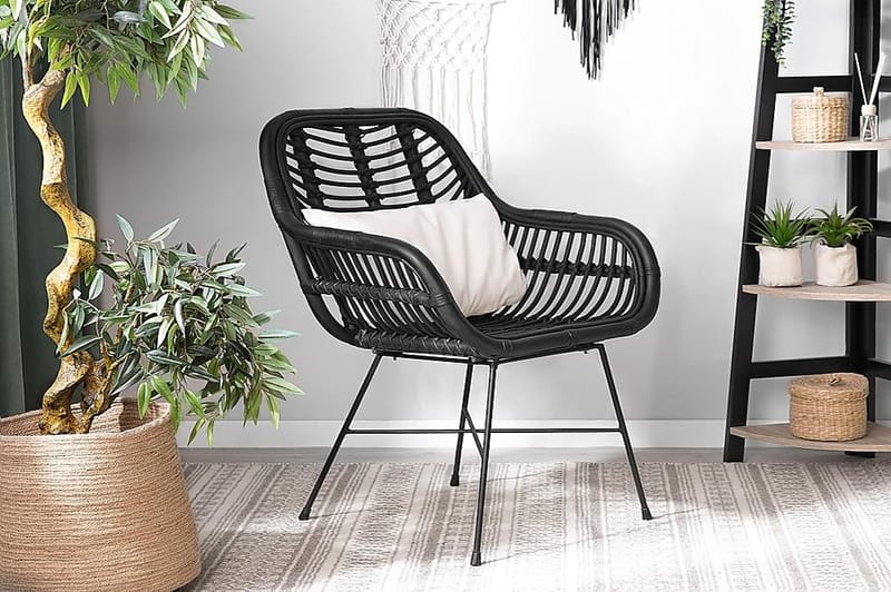 Canora Havestol 51 cm - Sort - Havemøbler - Havestole - Spisebordsstole udendørs