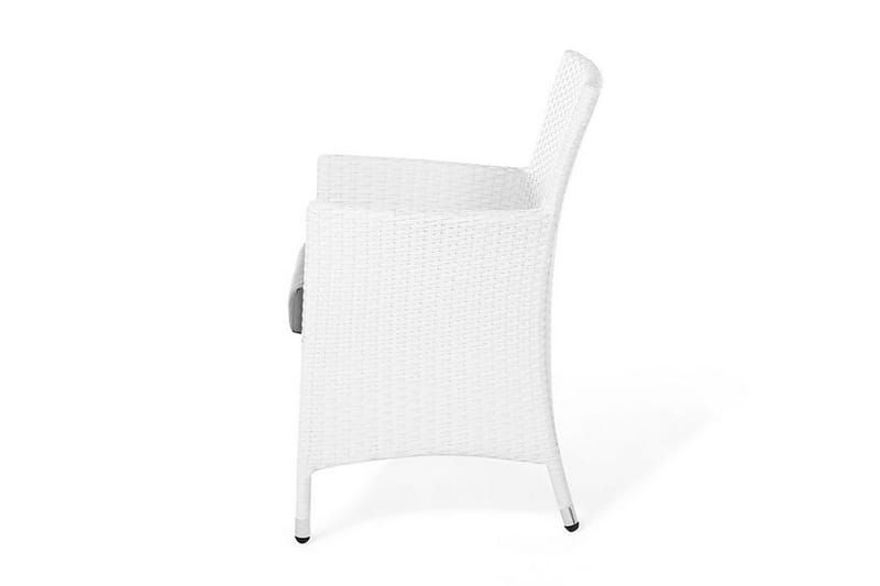 Galar Havestol 2-pak - Hvid - Havemøbler - Havestole - Spisebordsstole udendørs