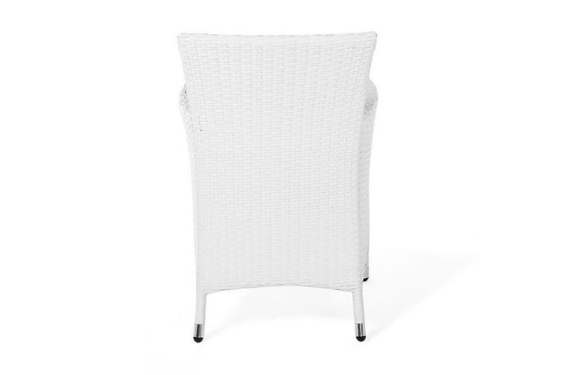 Galar Havestol 2-pak - Hvid - Spisebordsstole udendørs - Altanstole