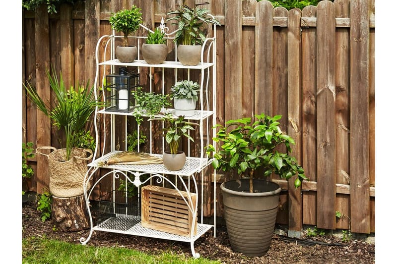 Plantereol 4 hylder metal lys beige PAVONA - Beige - Havemøbler - Øvrigt havetilbehør - Tilbehør udendørs - Blomstereoler