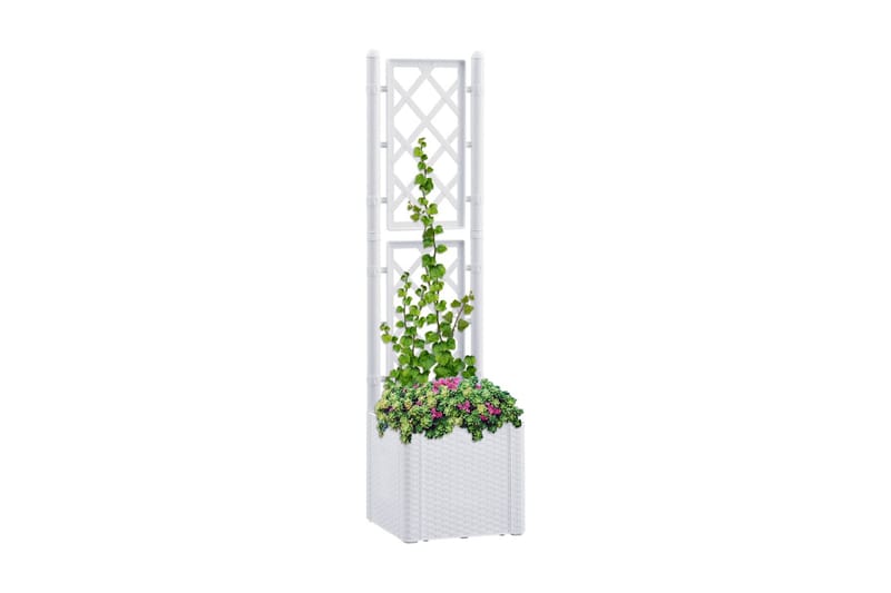 Højbed med espalier og automatisk vandingssystem hvid - Hvid - Blomsterkasser - Havekrukker