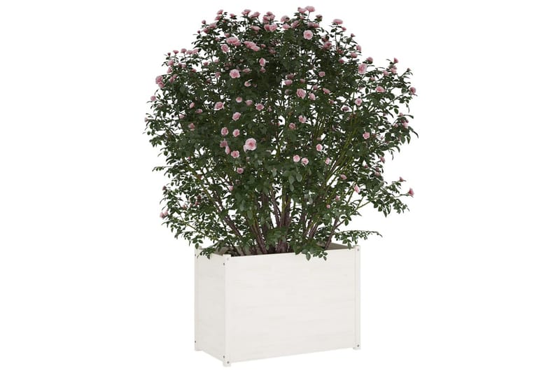 plantekasse 100x50x70 cm massivt fyrretræ hvid - Hvid - Blomsterkasser - Havekrukker