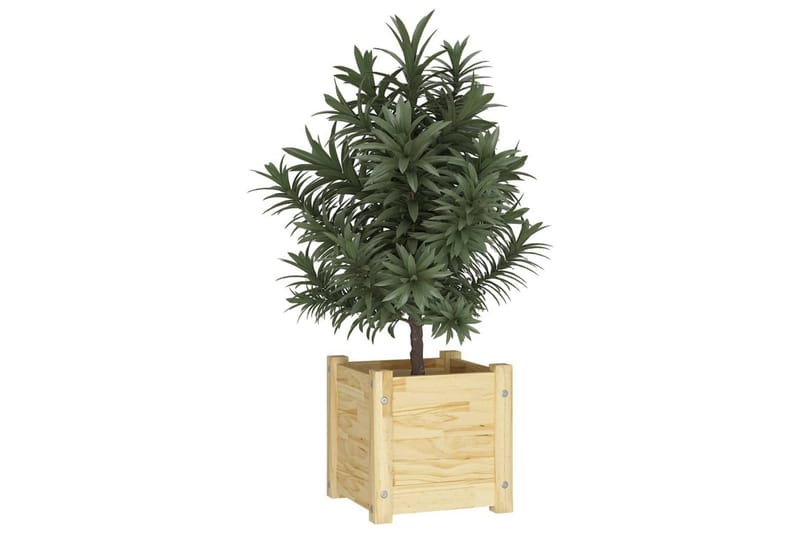 plantekasse 31x31x31 cm massivt fyrretræ - Brun - Blomsterkasser - Havekrukker