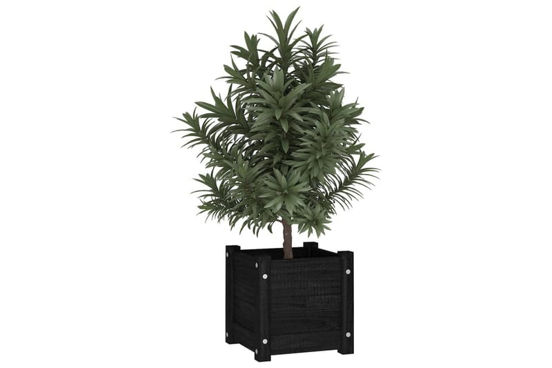 plantekasse 31x31x31 cm massivt fyrretræ sort - Sort - Blomsterkasser - Havekrukker