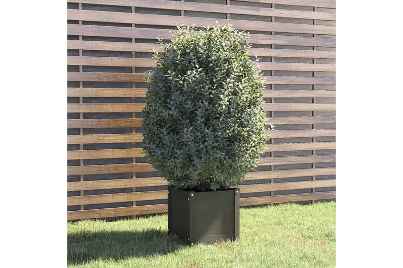 plantekasse 40x40x40 cm massivt fyrretræ grå - Grå - Havemøbler - Øvrigt havetilbehør - Tilbehør udendørs - Havekrukker