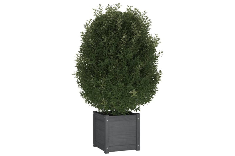 plantekasse 40x40x40 cm massivt fyrretræ grå - Grå - Blomsterkasser - Havekrukker