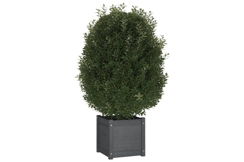 plantekasse 40x40x40 cm massivt fyrretræ grå - Grå - Havemøbler - Øvrigt havetilbehør - Tilbehør udendørs - Havekrukker