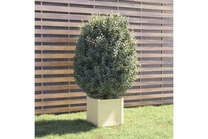 plantekasse 40x40x40 cm massivt fyrretræ hvid - Hvid - Blomsterkasser - Havekrukker