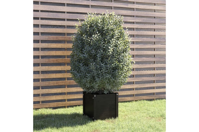 plantekasse 40x40x40 cm massivt fyrretræ  sort - Sort - Blomsterkasser - Havekrukker