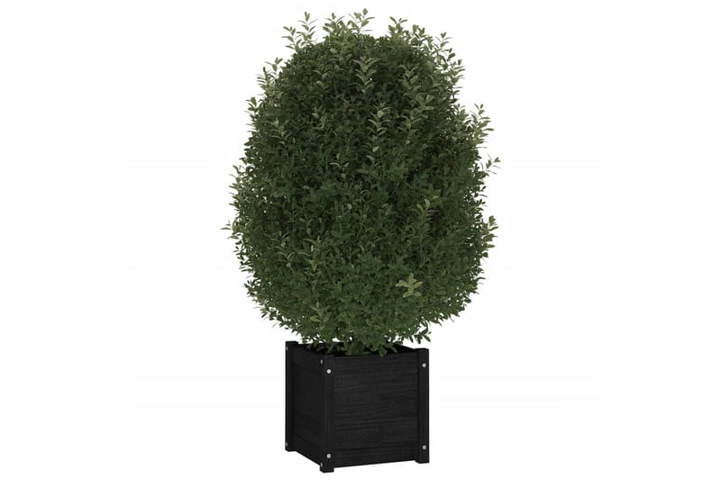 plantekasse 40x40x40 cm massivt fyrretræ  sort - Sort - Havemøbler - Øvrigt havetilbehør - Tilbehør udendørs - Havekrukker
