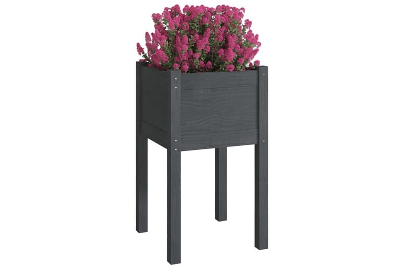 plantekasse 40x40x70 cm massivt fyrretræ grå - Grå - Blomsterkasser - Havekrukker