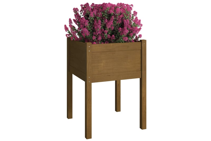 plantekasse 50x50x70 cm massivt fyrretræ gyldenbrun - Brun - Havemøbler - Øvrigt havetilbehør - Tilbehør udendørs - Havekrukker
