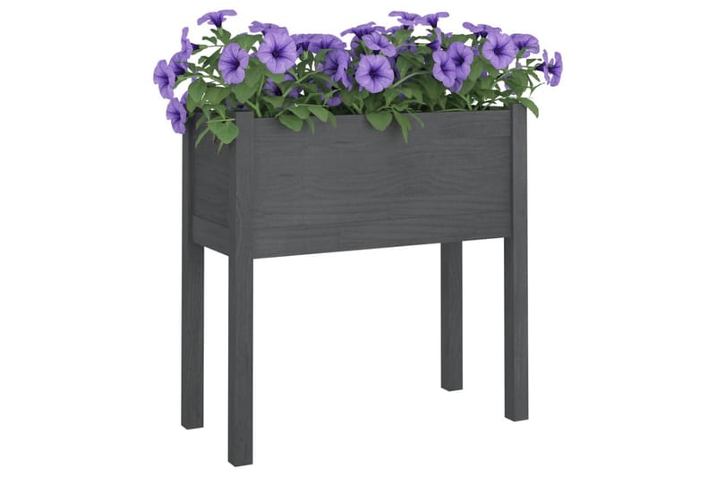 plantekasse 70x31x70 cm massivt fyrretræ grå - Grå - Havemøbler - Øvrigt havetilbehør - Tilbehør udendørs - Havekrukker