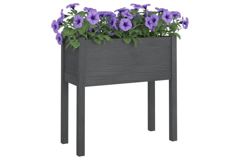 plantekasse 70x31x70 cm massivt fyrretræ grå - Grå - Blomsterkasser - Havekrukker