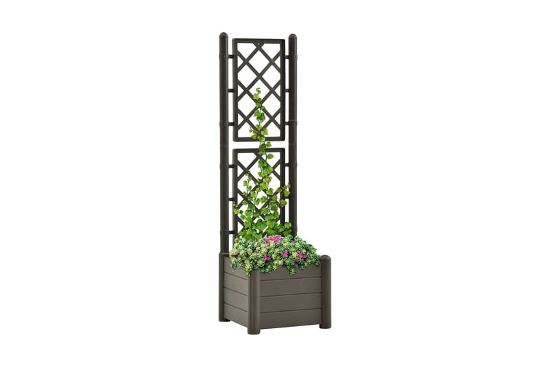 Plantekasse Med Espalier 43x43x142 cm Pp Antracitgrå - Antracit - Havemøbler - Øvrigt havetilbehør - Tilbehør udendørs - Havekrukker