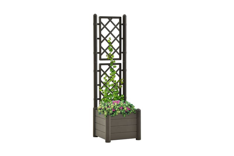 Plantekasse Med Espalier 43x43x142 cm Pp Antracitgrå - Antracit - Blomsterkasser - Havekrukker