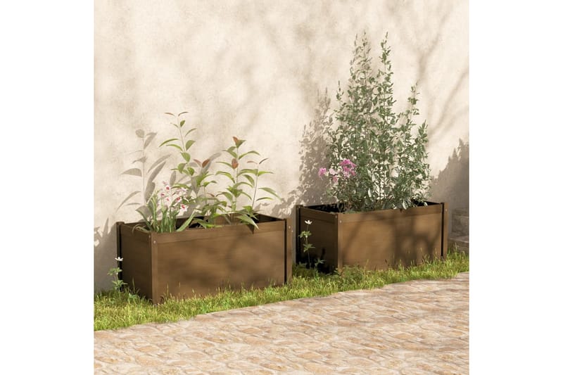plantekasser 2 stk. 100x50x50 cm massivt fyrretræ gyldenbrun - Brun - Blomsterkasser - Havekrukker