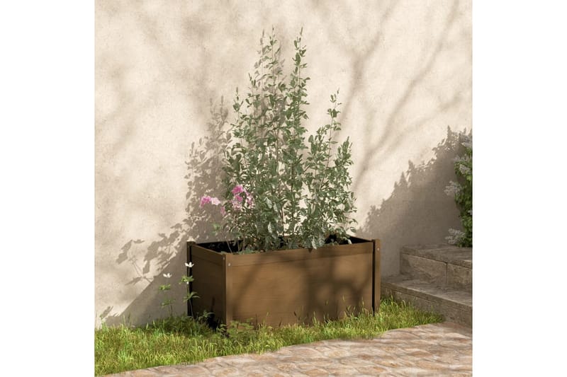 plantekasser 2 stk. 100x50x50 cm massivt fyrretræ gyldenbrun - Brun - Blomsterkasser - Havekrukker