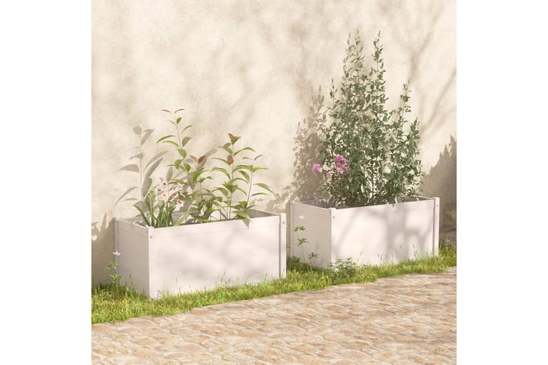 plantekasser 2 stk. 100x50x50 cm massivt fyrretræ hvid - Hvid - Blomsterkasser - Havekrukker