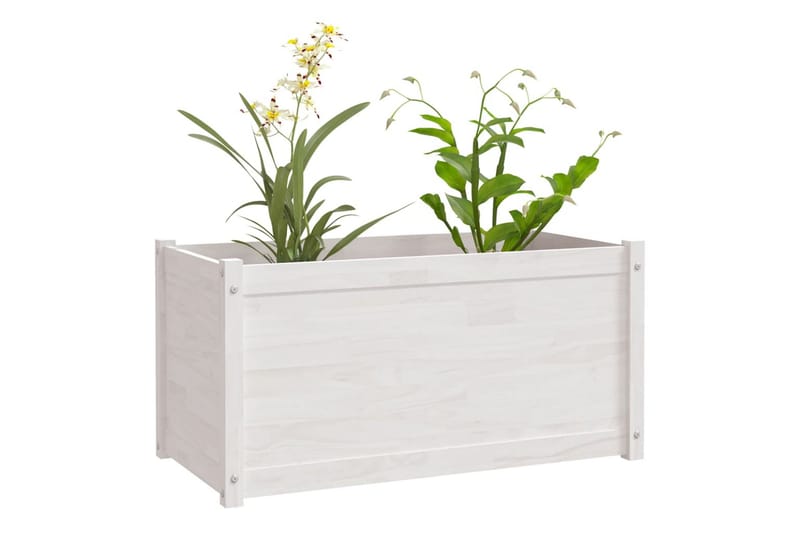 plantekasser 2 stk. 100x50x50 cm massivt fyrretræ hvid - Hvid - Blomsterkasser - Havekrukker