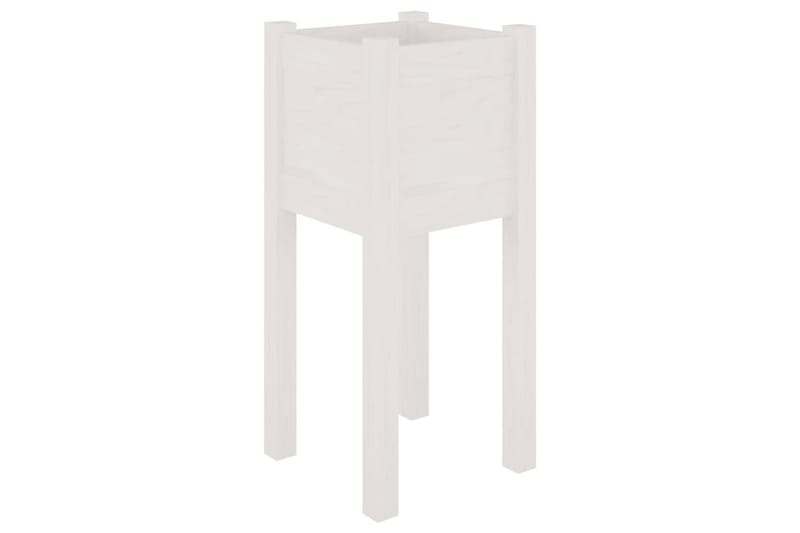 plantekasser 2 stk. 31x31x70 cm massivt fyrretræ hvid - Hvid - Havemøbler - Øvrigt havetilbehør - Tilbehør udendørs - Havekrukker
