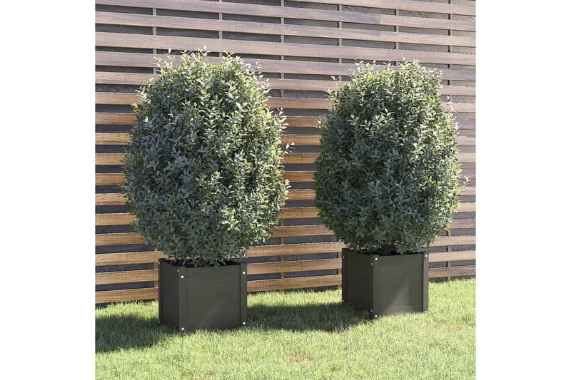 plantekasser 2 stk. 40x40x40 cm massivt fyrretræ grå - Grå - Blomsterkasser - Havekrukker