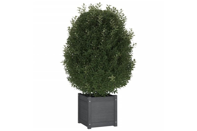 plantekasser 2 stk. 40x40x40 cm massivt fyrretræ grå - Grå - Blomsterkasser - Havekrukker