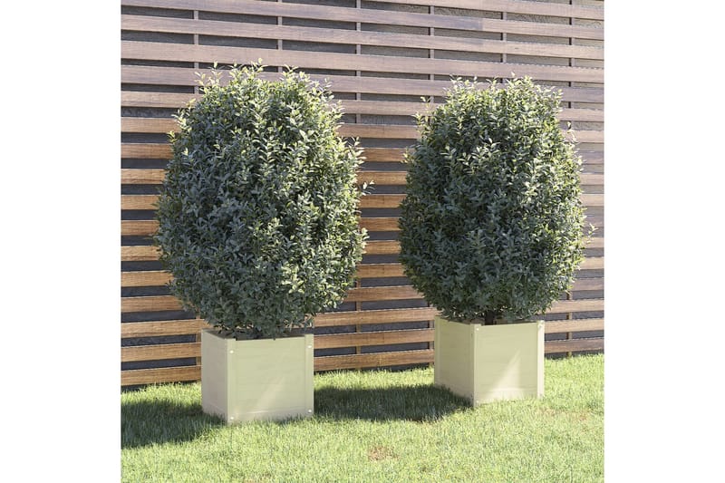 plantekasser 2 stk. 40x40x40 cm massivt fyrretræ hvid - Hvid - Blomsterkasser - Havekrukker