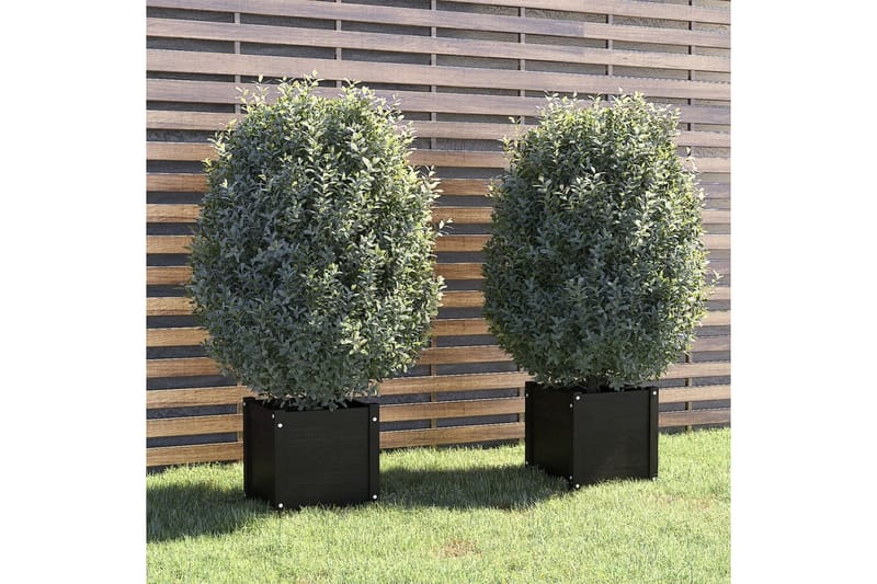 plantekasser 2 stk. 40x40x40 cm massivt fyrretræ sort - Sort - Blomsterkasser - Havekrukker