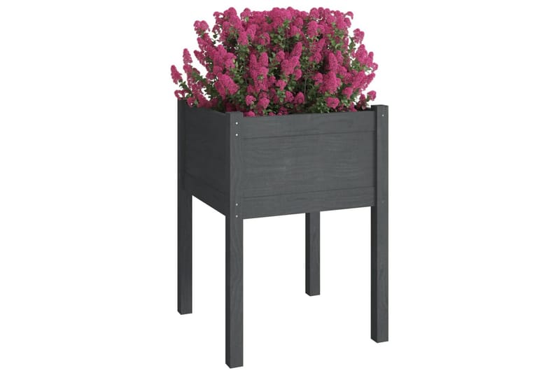 plantekasser 2 stk. 50x50x70 cm massivt fyrretræ grå - Grå - Havemøbler - Øvrigt havetilbehør - Tilbehør udendørs - Havekrukker
