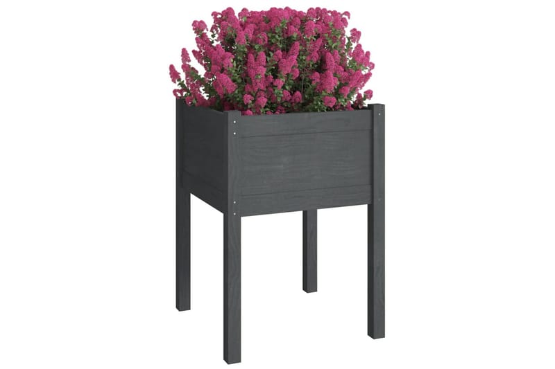 plantekasser 2 stk. 50x50x70 cm massivt fyrretræ grå - Grå - Blomsterkasser - Havekrukker