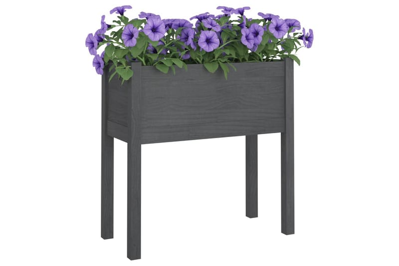 plantekasser 2 stk. 70x31x70 cm massivt fyrretræ grå - Grå - Blomsterkasser - Havekrukker