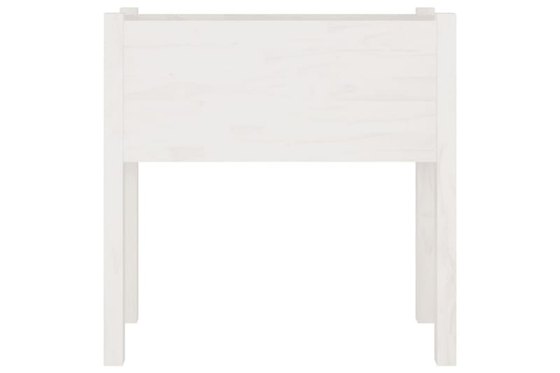 plantekasser 2 stk. 70x31x70 cm massivt fyrretræ hvid - Hvid - Havemøbler - Øvrigt havetilbehør - Tilbehør udendørs - Havekrukker