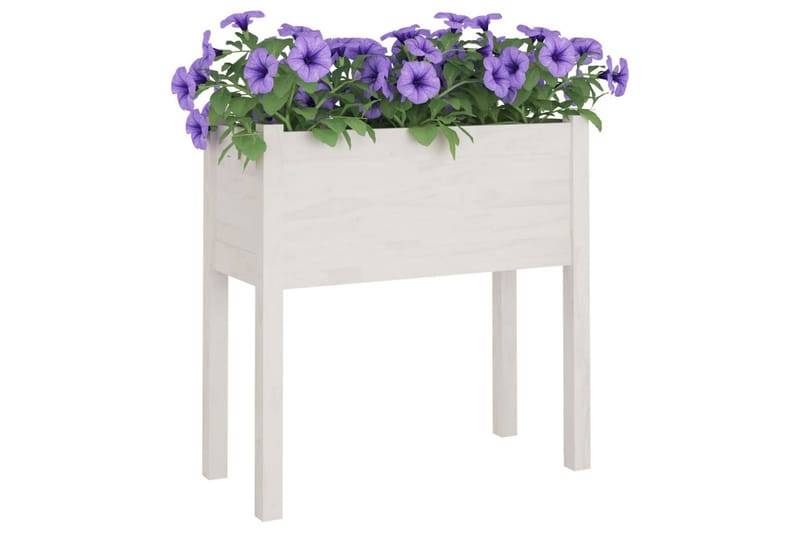 plantekasser 2 stk. 70x31x70 cm massivt fyrretræ hvid - Hvid - Blomsterkasser - Havekrukker