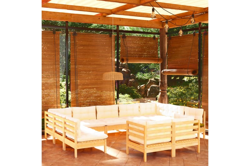 loungesæt til haven 11 dele cremefarvede hynder fyrretræ - Creme - Altanmøbler - Sofagrupper udendørs - Loungesæt