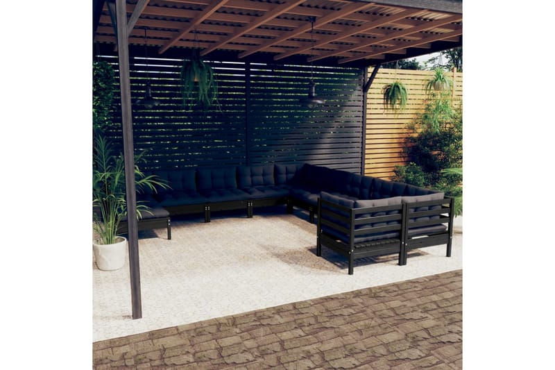 loungesæt til haven 11 dele med hynder fyrretræ sort - Sort - Altanmøbler - Sofagrupper udendørs - Loungesæt
