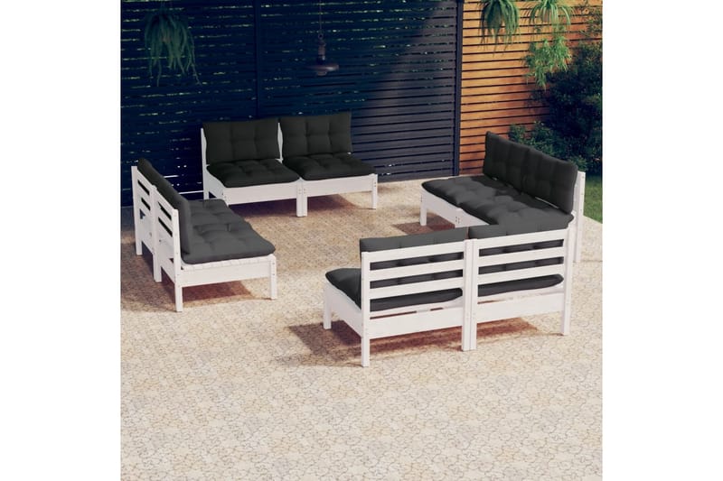 loungesæt til haven 8 dele med antracitgrå hynder fyrretræ - Hvid - Altanmøbler - Sofagrupper udendørs - Loungesæt