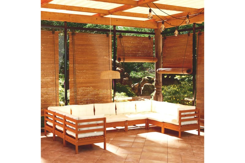 loungesæt til haven 9 dele med hynder fyrretræ gyldenbrun - Brun - Altanmøbler - Sofagrupper udendørs - Loungesæt