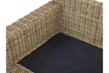 Apriliana 2-Pers. Sofa - Polyrattan/Lysebrun - Havemøbler - Loungemøbler - Loungesofaer