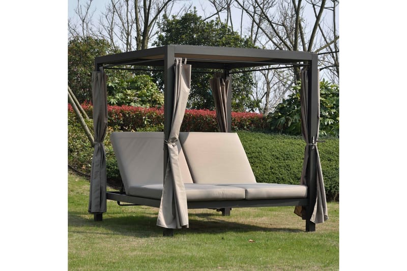 Marokko solseng, Mørkebrun/Beige