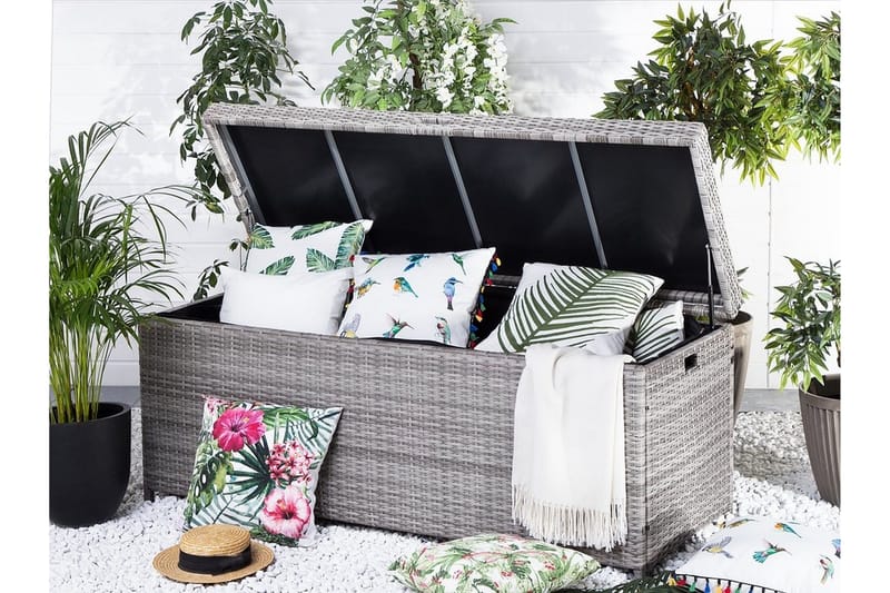 Modena hynder 158 cm, Grå