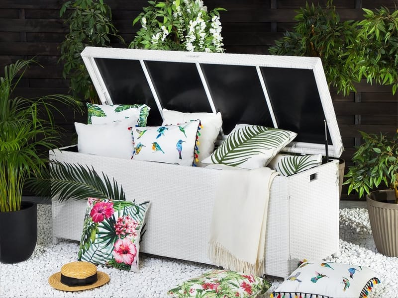 Modena hynder 158 cm, Hvid