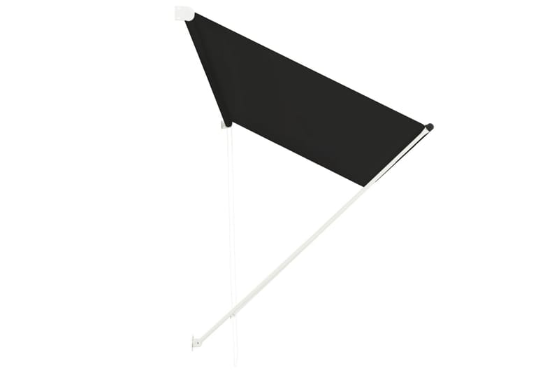 foldemarkise 300x150 cm antracitgrå - Grå - Havemøbler - Solafskærmning - Markiser - Balkonmarkise