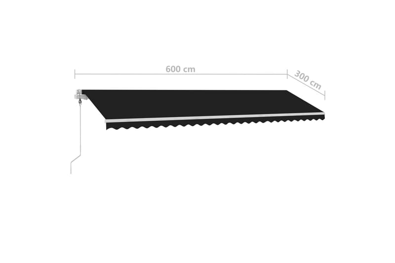 fritstående markise 600x300 cm automatisk betjening - Antracit - Havemøbler - Solafskærmning - Markiser - Balkonmarkise