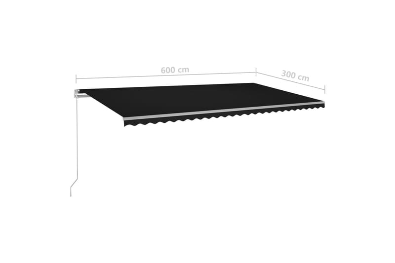 fritstående markise 600x300 cm automatisk betjening - Antracit - Havemøbler - Solafskærmning - Markiser - Balkonmarkise