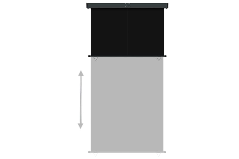 sidemarkise til altan 170x250 cm sort - Sort - Balkonmarkise - Markiser - Sidemarkise - Altanafskærmning