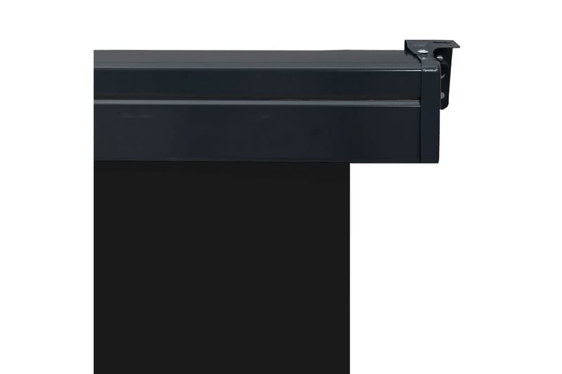 Sidemarkise Til Altan 60x250 cm Sort - Sort - Havemøbler - Solafskærmning - Markiser - Vinduesmarkise