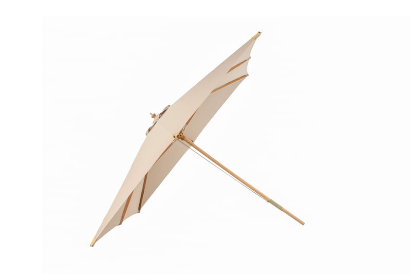 Naxos Parasol, Brun