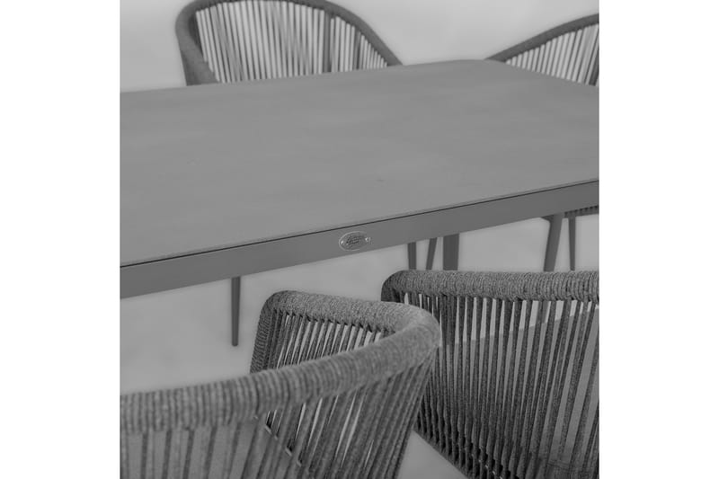 Møbelsæt ECCO med 6 stole Aluminiumramme - Havemøbler - Udendørsgruppe - Havesæt